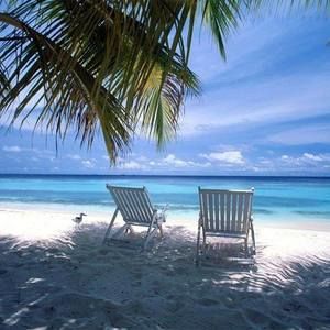 Meet your Posher, Pamela